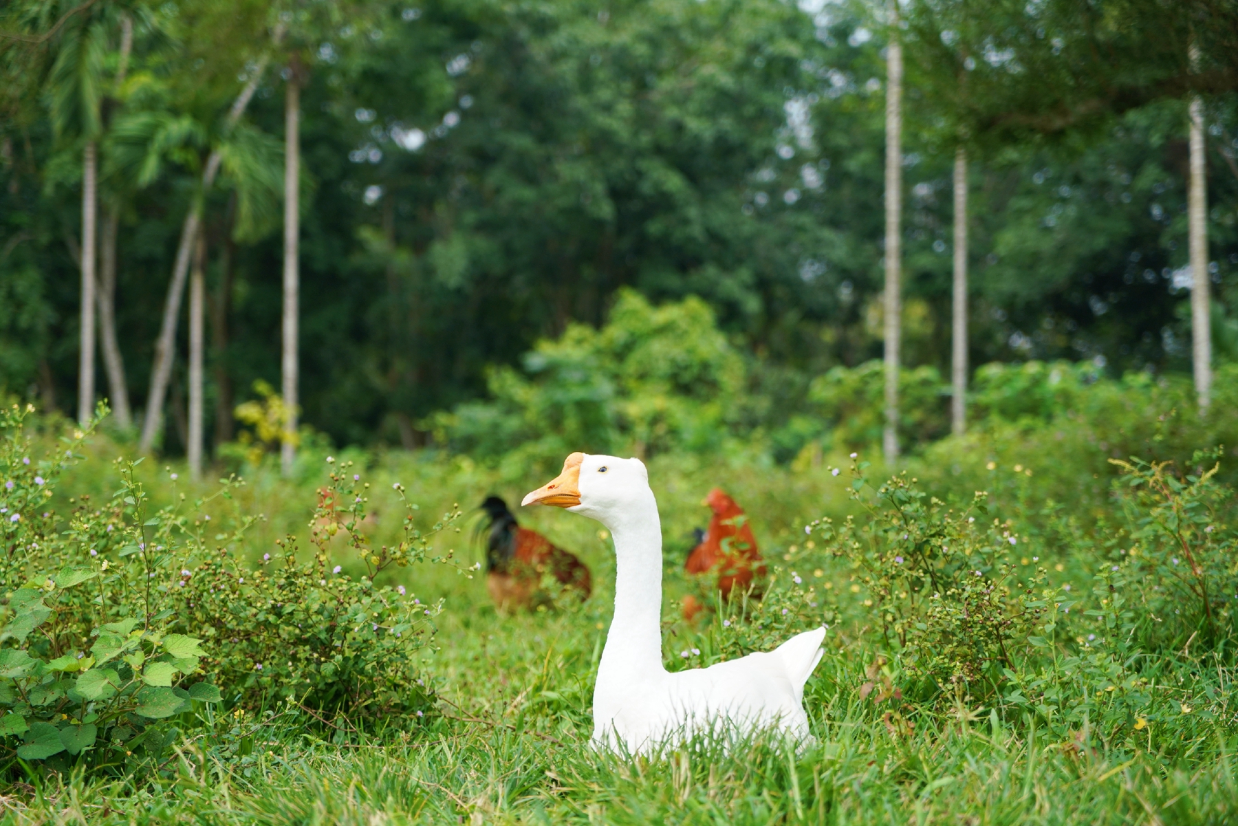 必发7790(中国区)电子集团-线上平台登录入口