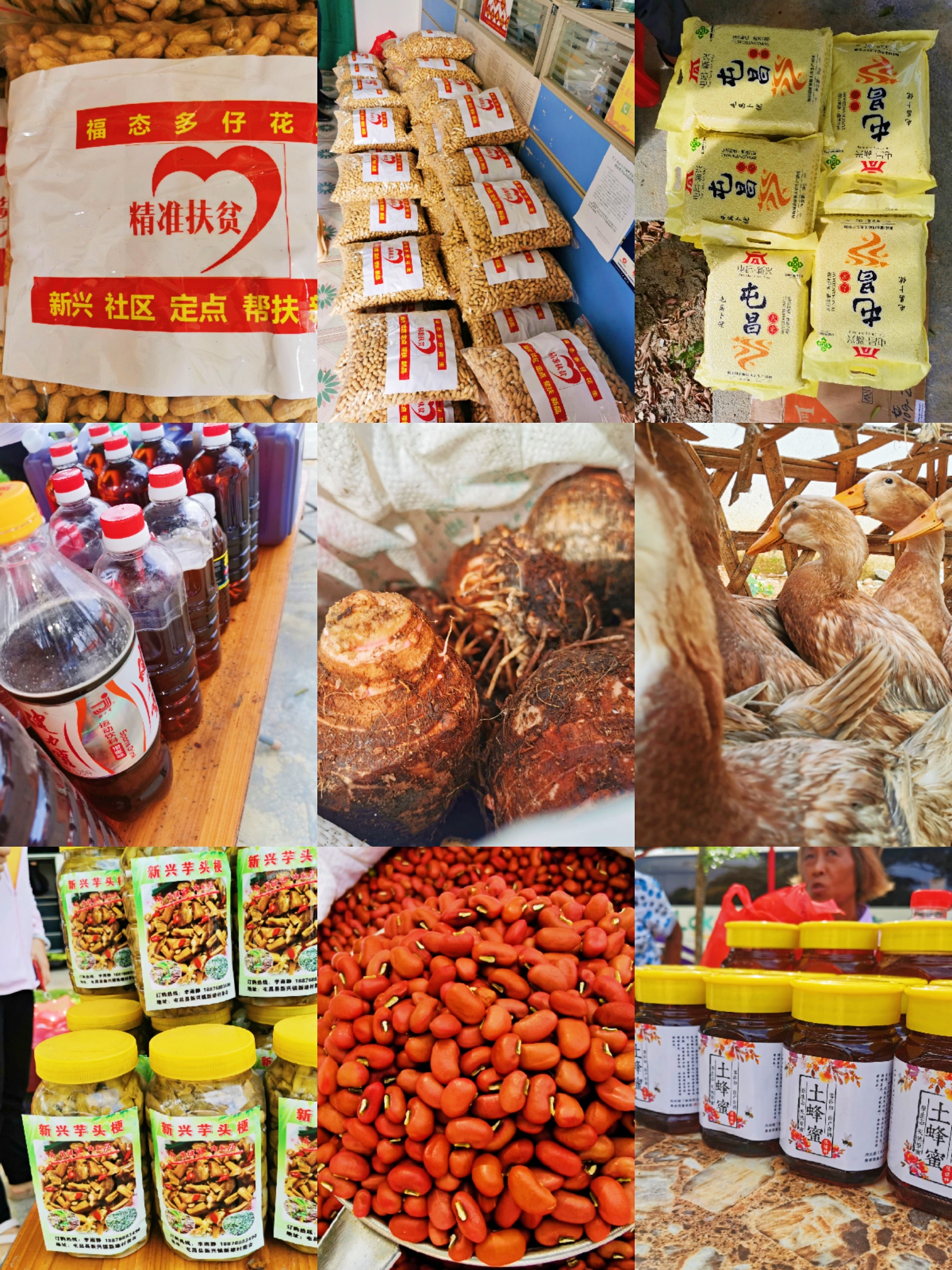 必发7790(中国区)电子集团-线上平台登录入口