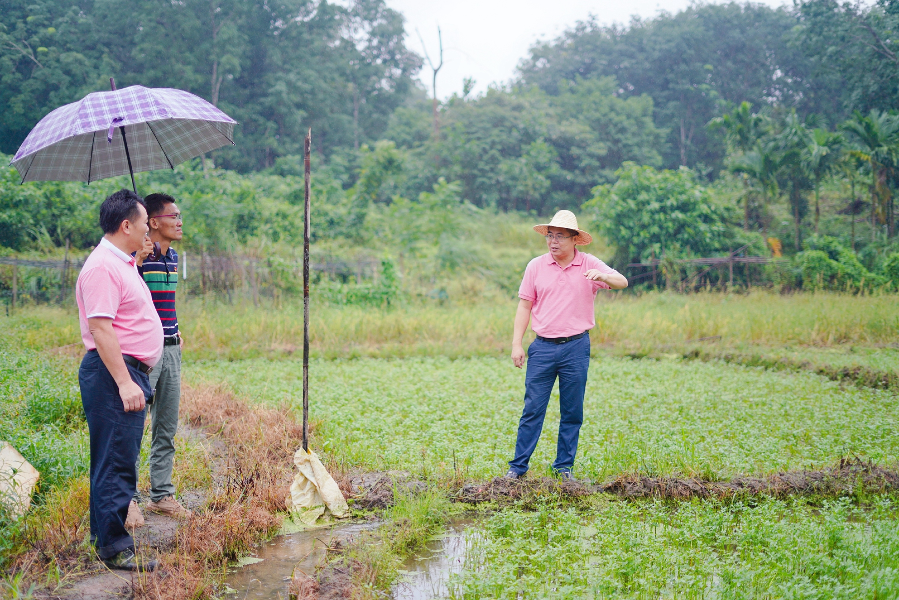 必发7790(中国区)电子集团-线上平台登录入口