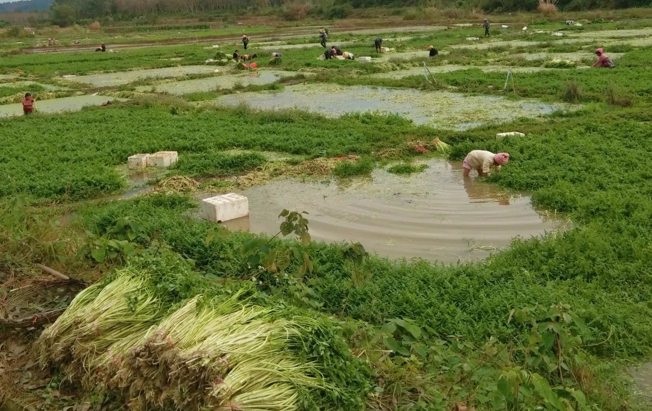 必发7790(中国区)电子集团-线上平台登录入口
