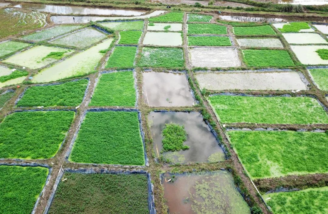 必发7790(中国区)电子集团-线上平台登录入口